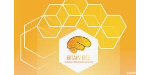 II etap Konkursu "Brain Bee"